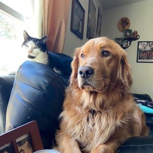 Meet your Posher, Lily